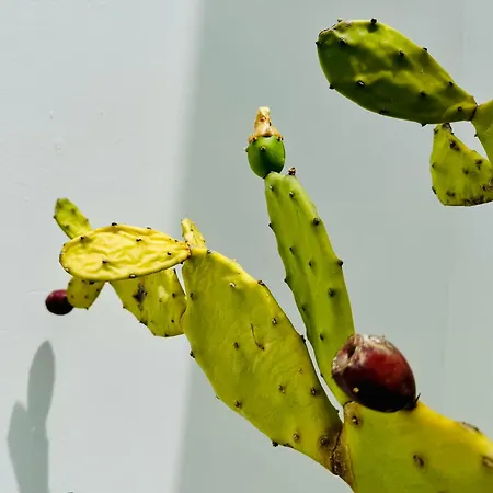 Dimora Del Sole Luxury And Charm