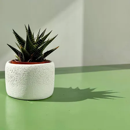 شقة Dimora Del Sole Luxury And Charm *