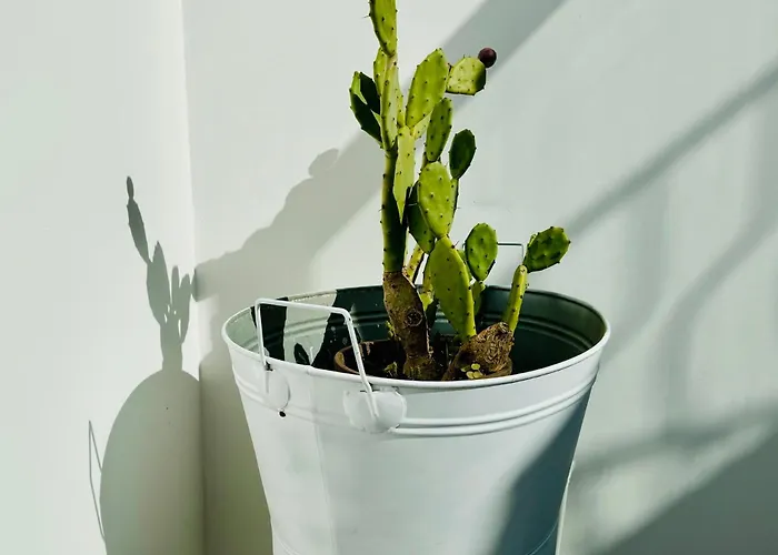 Dimora Del Sole Luxury And Charm Apartman Otranto