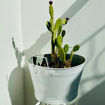 Dimora Del Sole Luxury And Charm Appartement Otranto