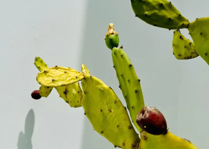 Dimora Del Sole Luxury And Charm